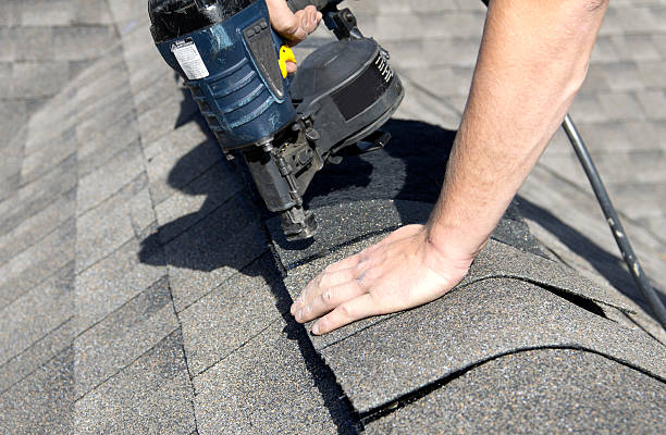 Best Roof Insulation Installation  in Stewartville, AL